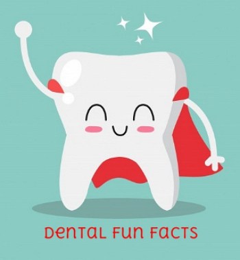 dentist brandon ms Fun Dental Facts Header Image